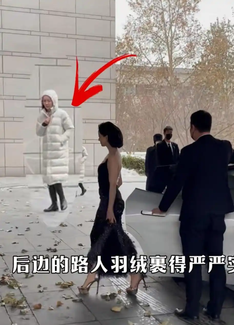 女明星的冬装_倪虹洁露背长裙红毯_女明星冬天红毯穿搭