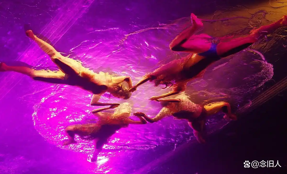 娇小女星演技颜值_娱乐圈哪些女名星很矮_矮个子女星身高揭秘