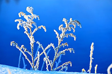 吃瓜51吃的朝阳群众|朝阳群众瓜田大战:网络舆论风向标-5